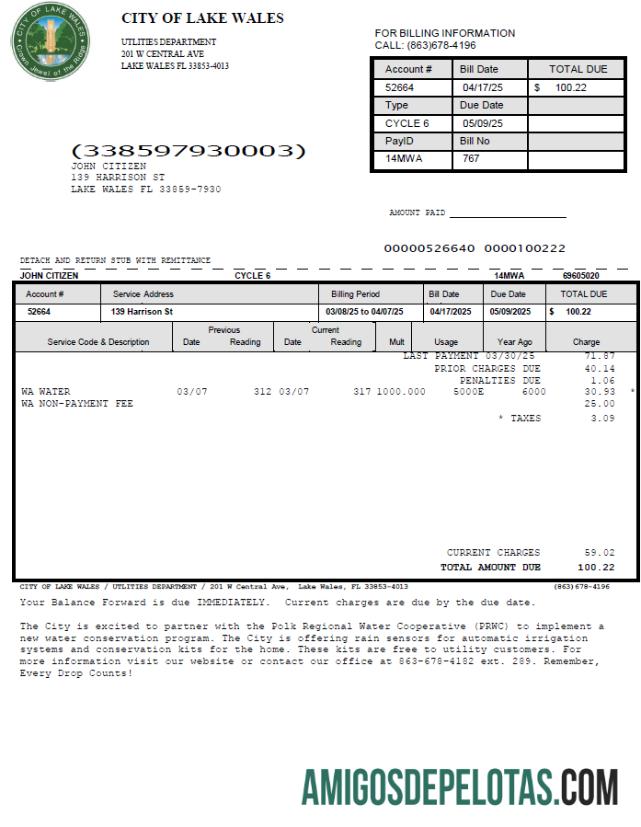 Em branco modelo de conta de serviços públicos da cidade de Lake Wales nos EUA em formatos Word e PDF